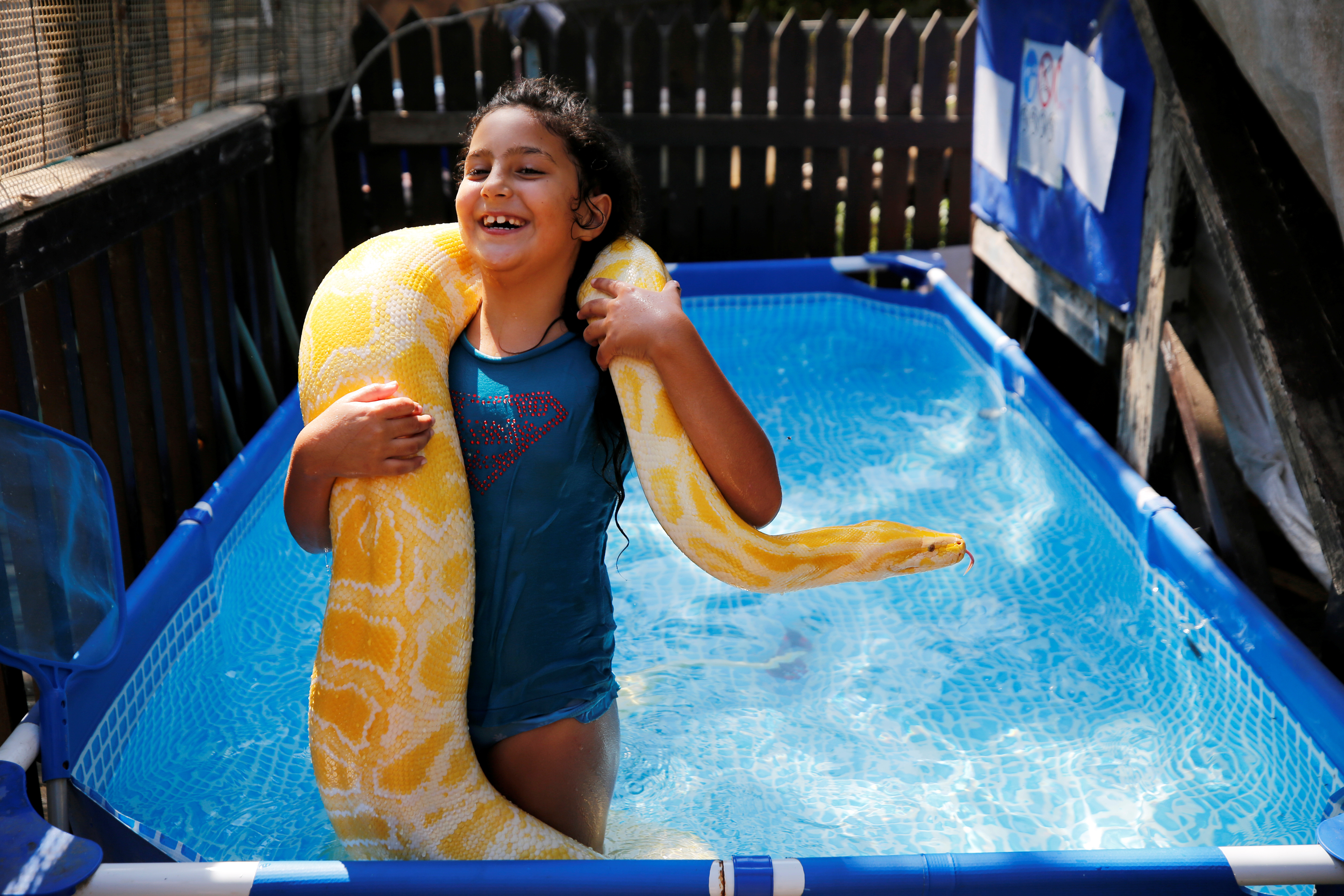 ▲▼以色列女孩最愛和巨大蟒蛇玩，水中共舞引閒話。（圖／路透）
