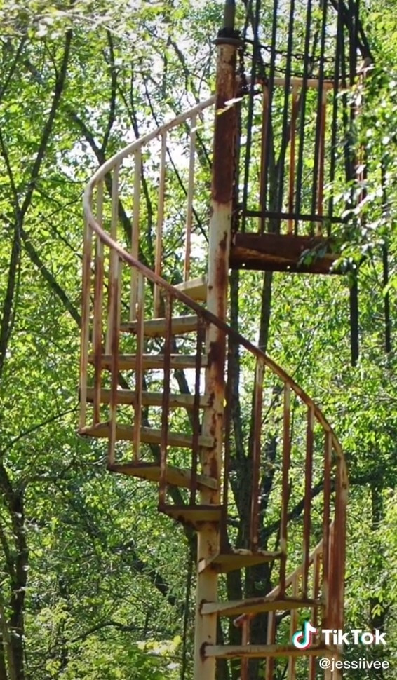 ▲▼ 森林裡的樓梯。（圖／翻攝自Tik Tok／ jessiivee）