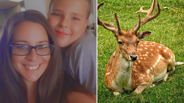 ▲▼11歲男孩被繼父誤認成是鹿，遭開槍射擊。（圖／翻攝自Facebook／Heather Varndell,取自免費圖庫Pexels）